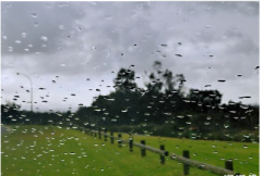 <b>下雨天悲伤文案 下雨了伤感心情短语</b>